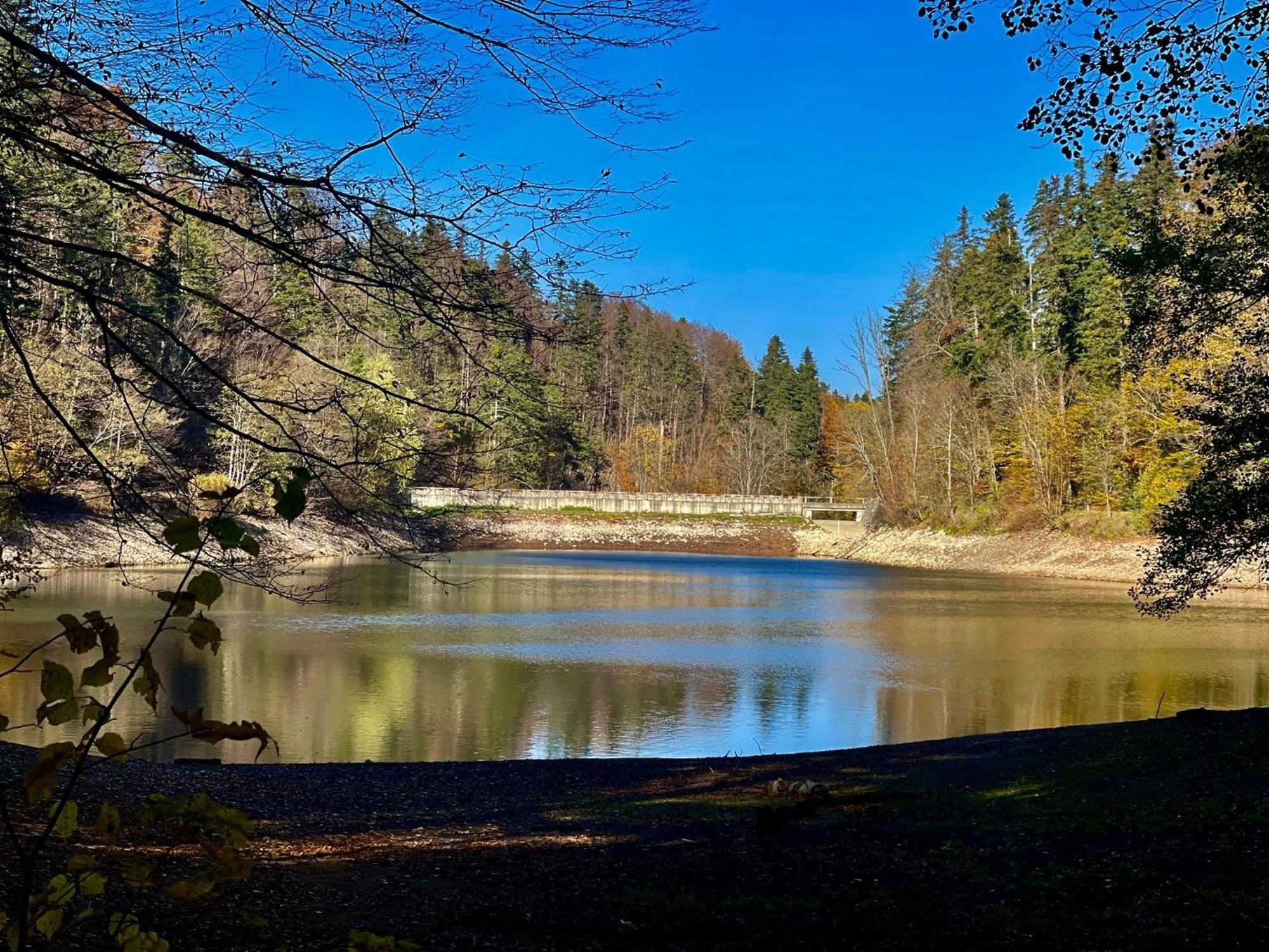 Cabana Staier Villa Anina Esterno foto